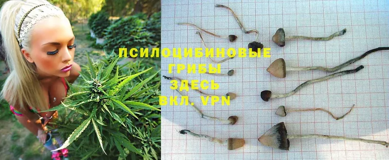 Галлюциногенные грибы MAGIC MUSHROOMS  Приморско-Ахтарск 